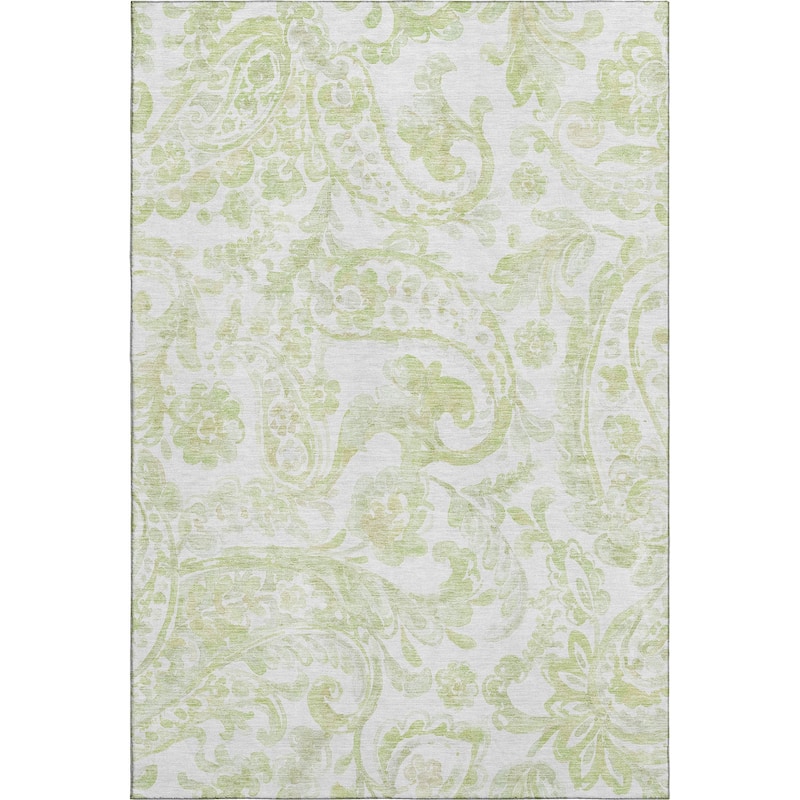 Premium Washable Super Soft Modern Paisley Mayfield Rug