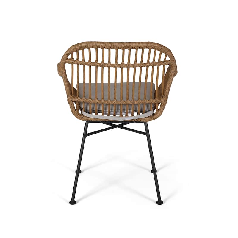 Set of 2 Modern Indoor/Outdoor Rattan Accent Chairs with Metal Legs