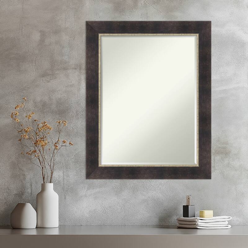 Odin Half-Inch-Bevel Framed Wall Mirror - Odin Antique Bronze - 23 x 29 in