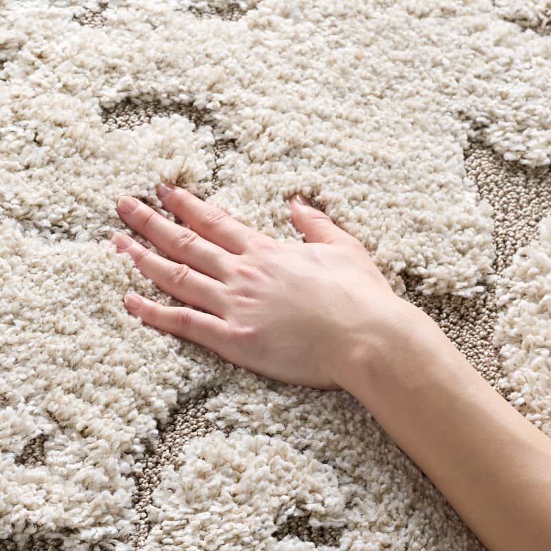 SAFAVIEH Florida Shag Tjabbe Scroll Area 1.2-inch Thick Rug