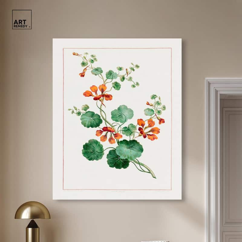 Nasturtium (1788) Canvas by Art Remedy, Gallery Wrapped