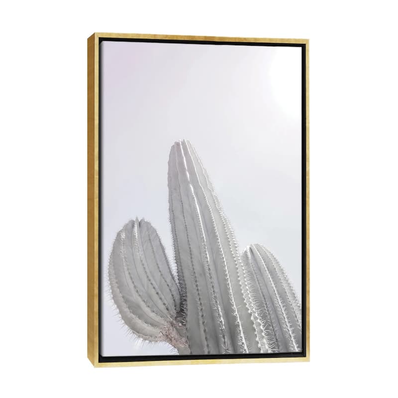 iCanvas "Saguaro" by Shot by Clint Framed - 26x18 - Gold