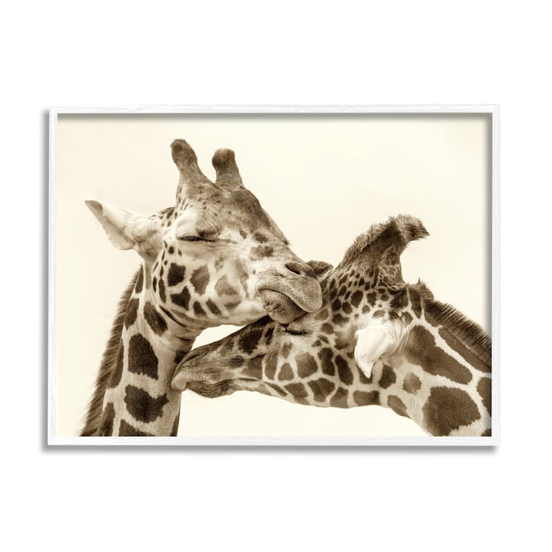 Stupell Sweet Cuddling Giraffes Sepia Wildlife Photography Portrait Framed Wall Art, Design by Carrie Ann Grippo-Pike - Tan