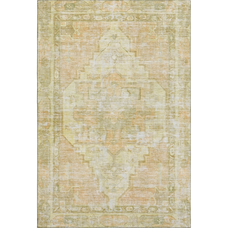 Premium Washable Super Soft Vintage Traditional Mayfield Rug