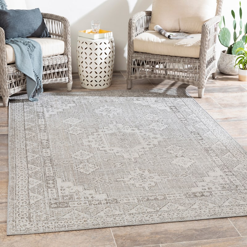 Susannah Indoor / Outdoor Updated Traditional Area Rug - 5'3" x 7'3" - Grey