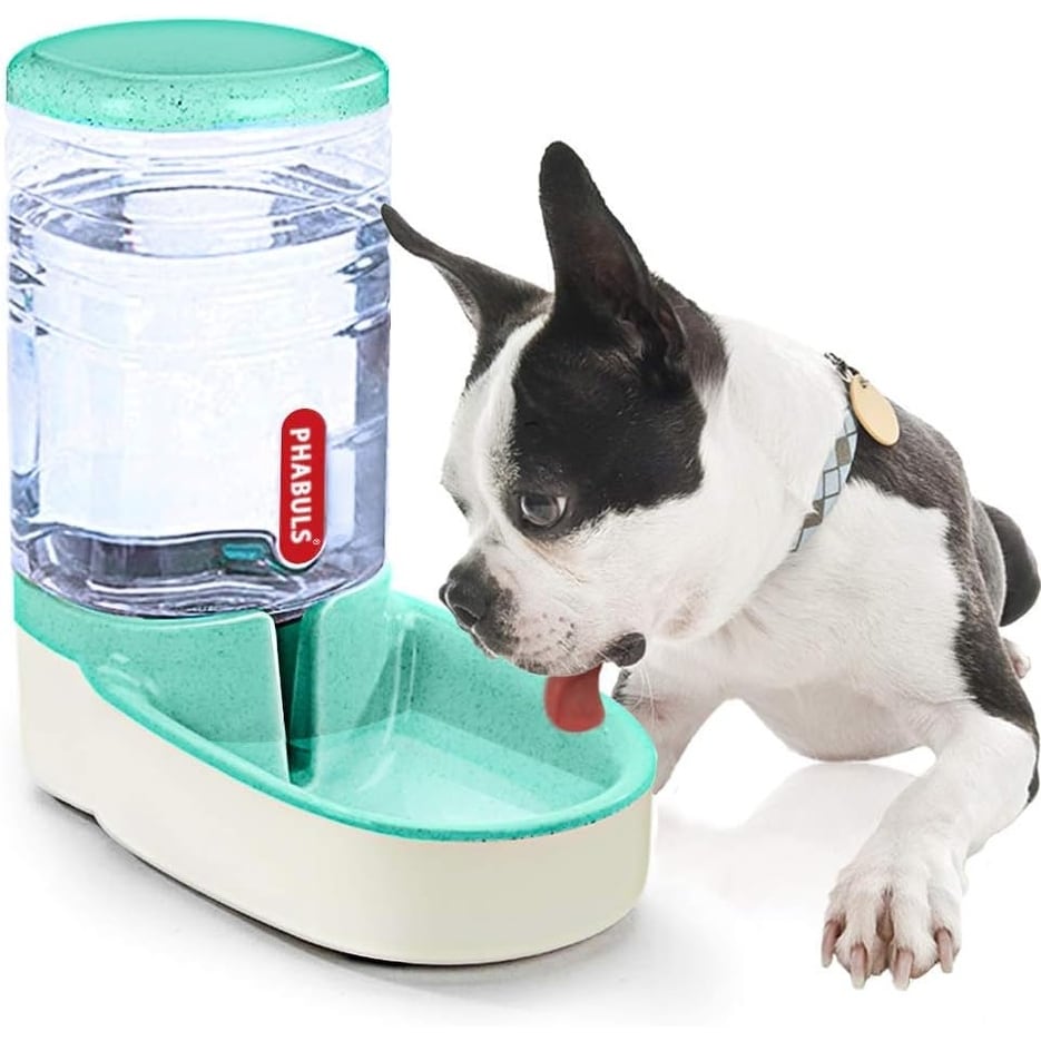 1 Gallon Dog Water Dispenser