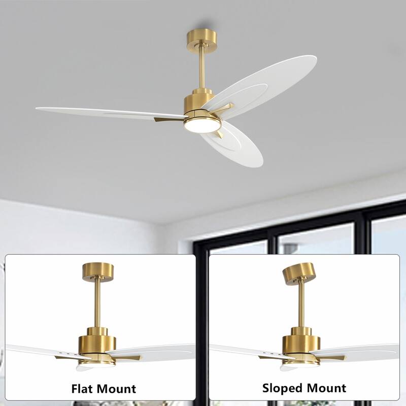 WINGBO 60-in 3-Blades Indoor Ceiling Fan with LED Light & Remote