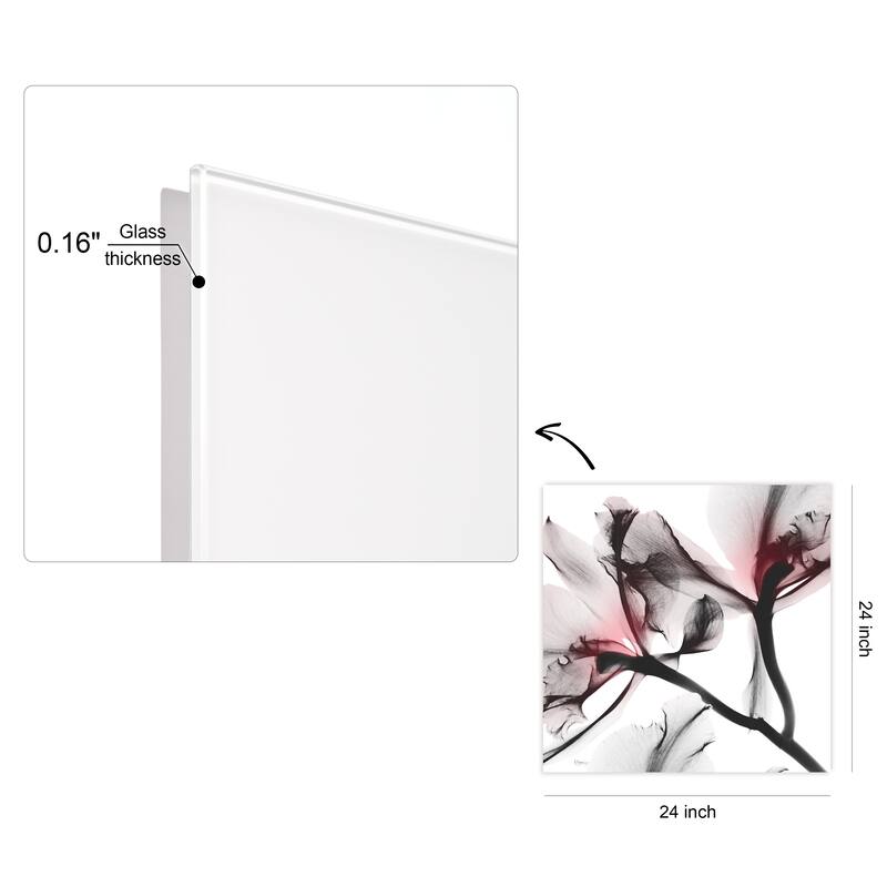 "Coral Luster 2" Frameless Free Floating Tempered Glass Panel Graphic Wall Art