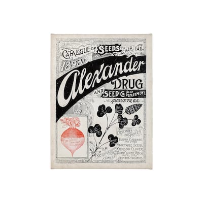 Antique Seed Packet XIV (40 x 55) Canvas Art Print