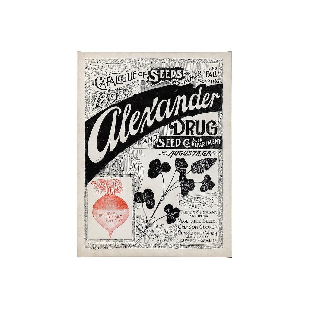 Antique Seed Packet XIV (40 x 55) Canvas Art Print