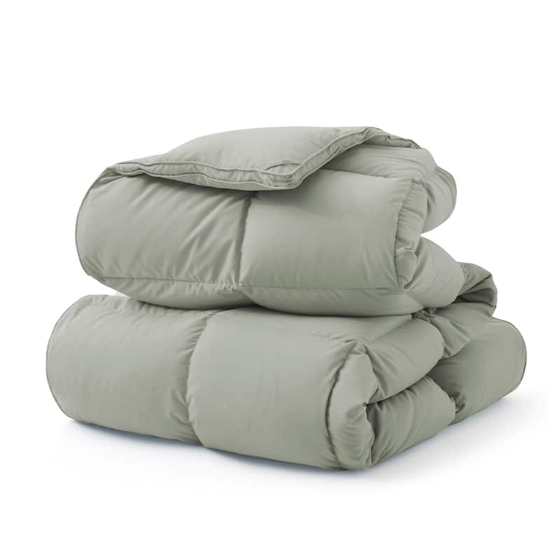 Medium Warmth All Season Paisley Floral & Solid Pattern Duvet Insert White Goose Down Feather Comforter - Twin (68"x88") - Sage Green