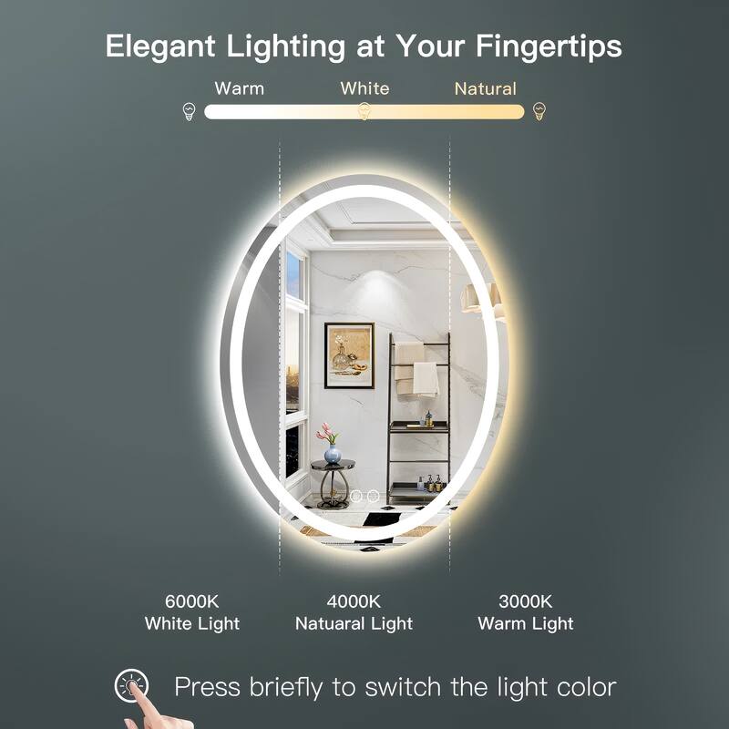 Oval LED Lighted Anti-Fog Wall Bathroom Vanity Mirror