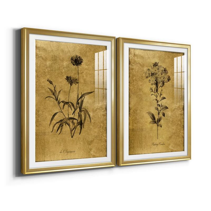 Gold Sketch Botanical I Premium Framed Print - Ready to Hang