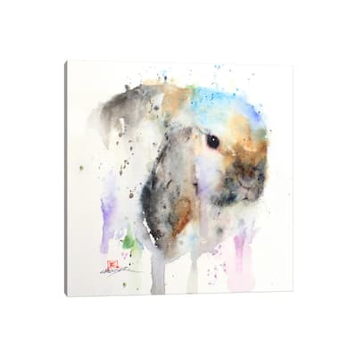 iCanvas "Rabbit" by Dean Crouser Canvas Print