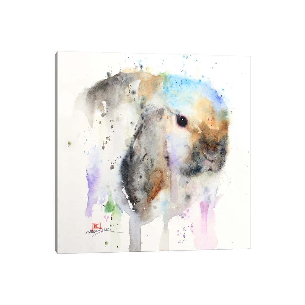 iCanvas "Rabbit" by Dean Crouser Canvas Print