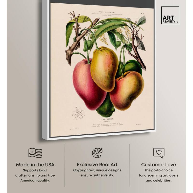 Mangoes by Etienne Denisse Canvas by Art Remedy