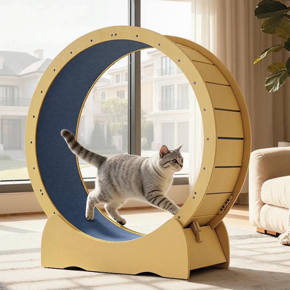 42 inch Cat Treadmill Wheel with Detachable Carpeted Runway