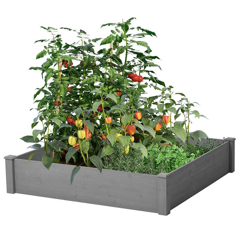 Cedar Wood Outdoor Raised Garden Bed Kit, Planter Box, Tool-Free Assembly
