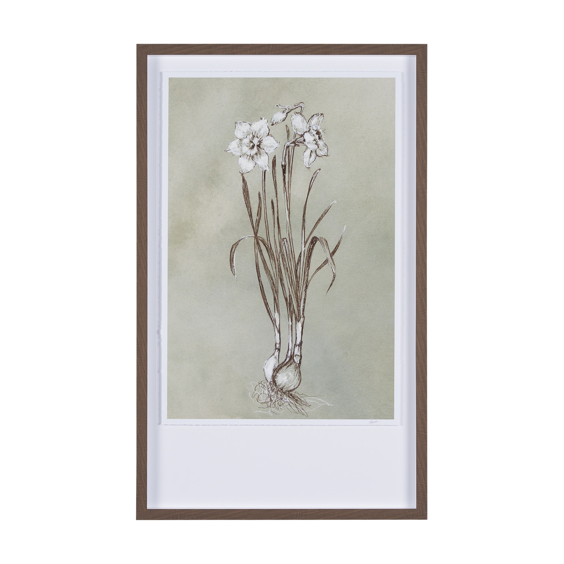 Botanical Sketch II (green) by Mercana Studio Hand Embellished Framed Art Print Matted under Glass