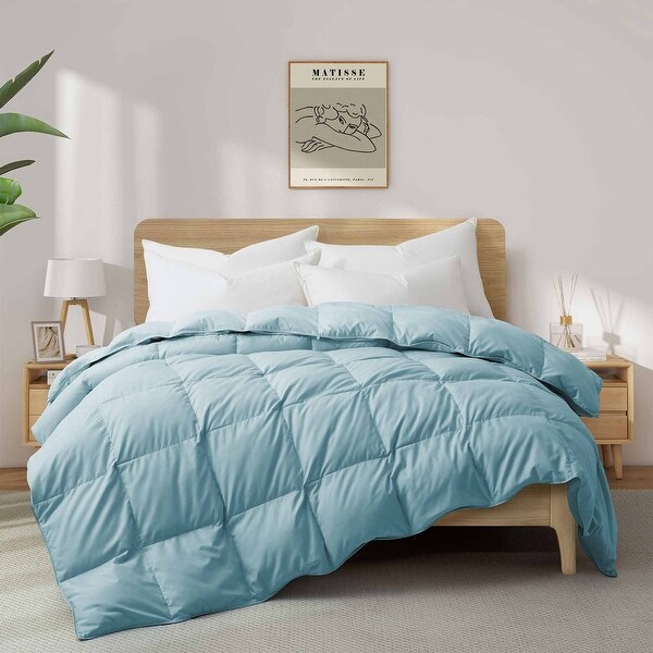 All Season to Heavyweight Premium White Goose Down Comforter All Season to Heavyweight Premium White Goose Down Comforter