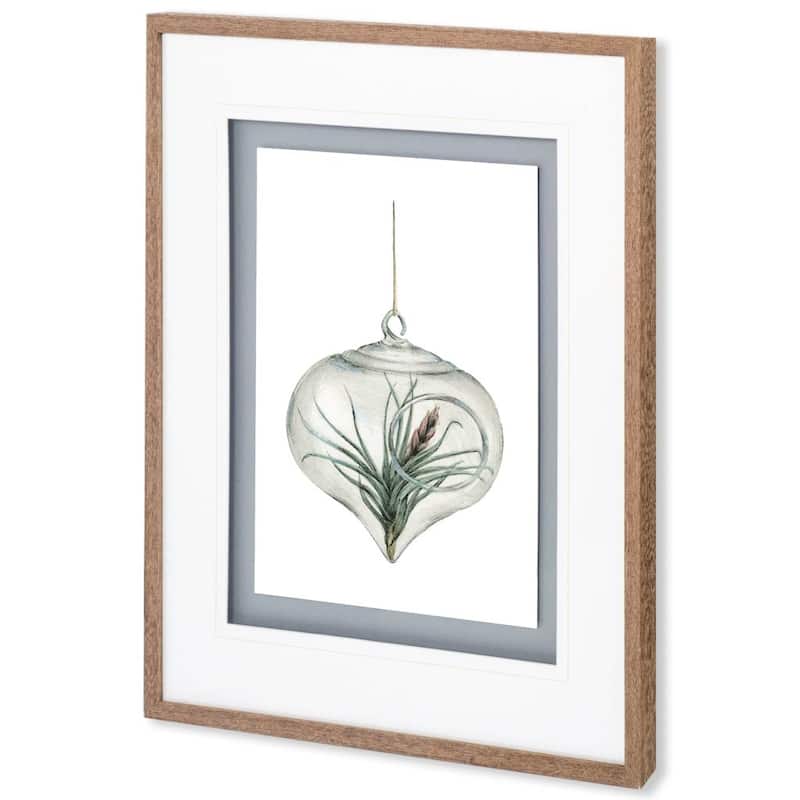 Air Plant 4 Framed Art Print
