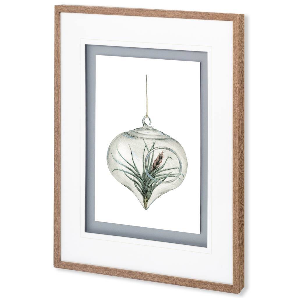Air Plant 4 Framed Art Print