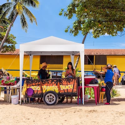 10 ft. x 10 ft. Green Straight Leg Pop-Up Canopy