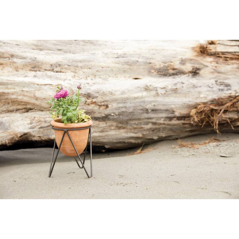 Terracotta Pot with Metal Stand