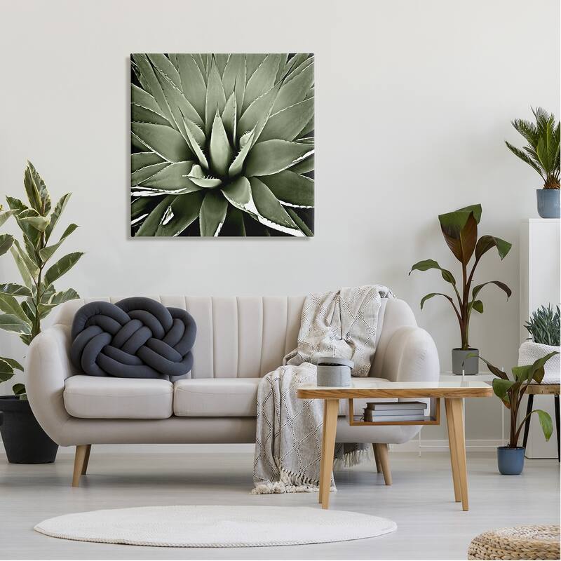 Stupell Succulent Plant Lush Leaves Canvas Wall Art by Lindsay Benson