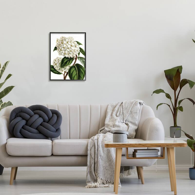 Stupell Begonia Opuliflora Flower Stem Vintage Botanical Study Framed Wall Art, Design by Lettered and Lined - Green
