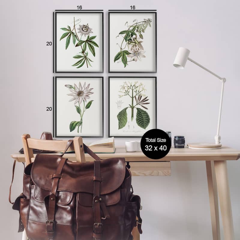 Stupell Various Vintage Botanicals Framed Giclee Art Design By CAD Design (Set of 4)