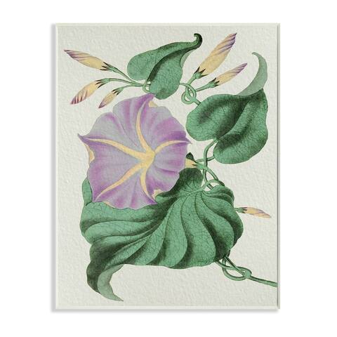 Stupell Industries Vintage Purple Yellow Morning Glory Floral Study Wood Wall Art - Grey