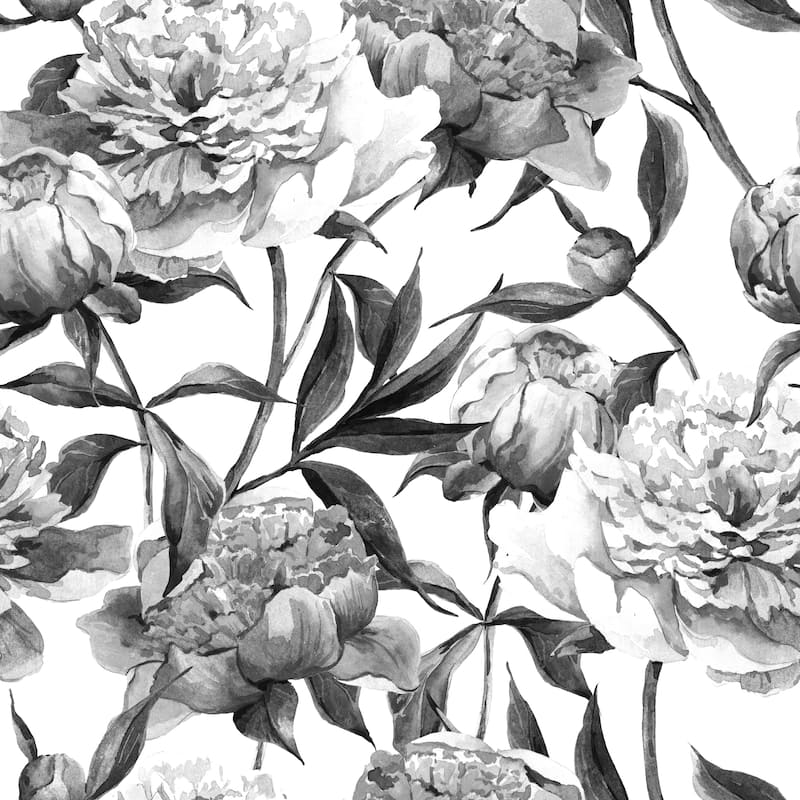 Hand Drawn Peonies Removable Wallpaper - 10'ft H x 24''inch W - 10'ft H x 24''inch W - Black