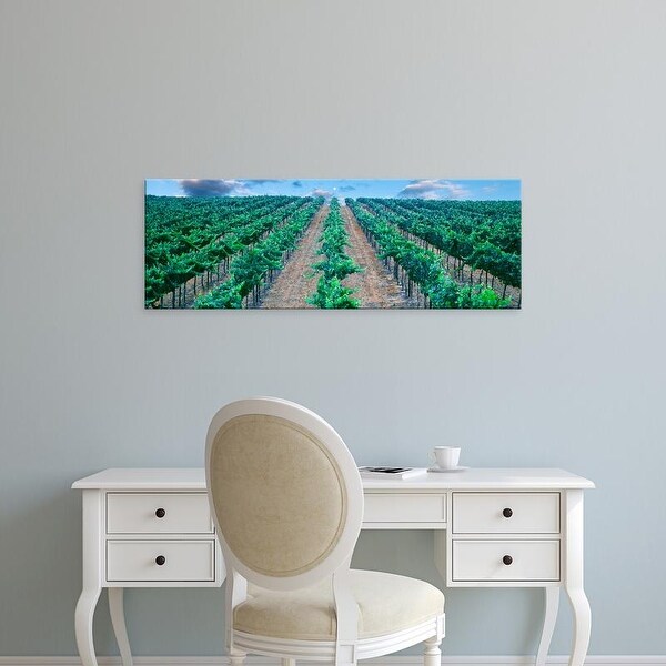Easy Art Prints Panoramic Images's 'Moonrise over vineyard, Temecula, California, USA' Premium Canvas Art