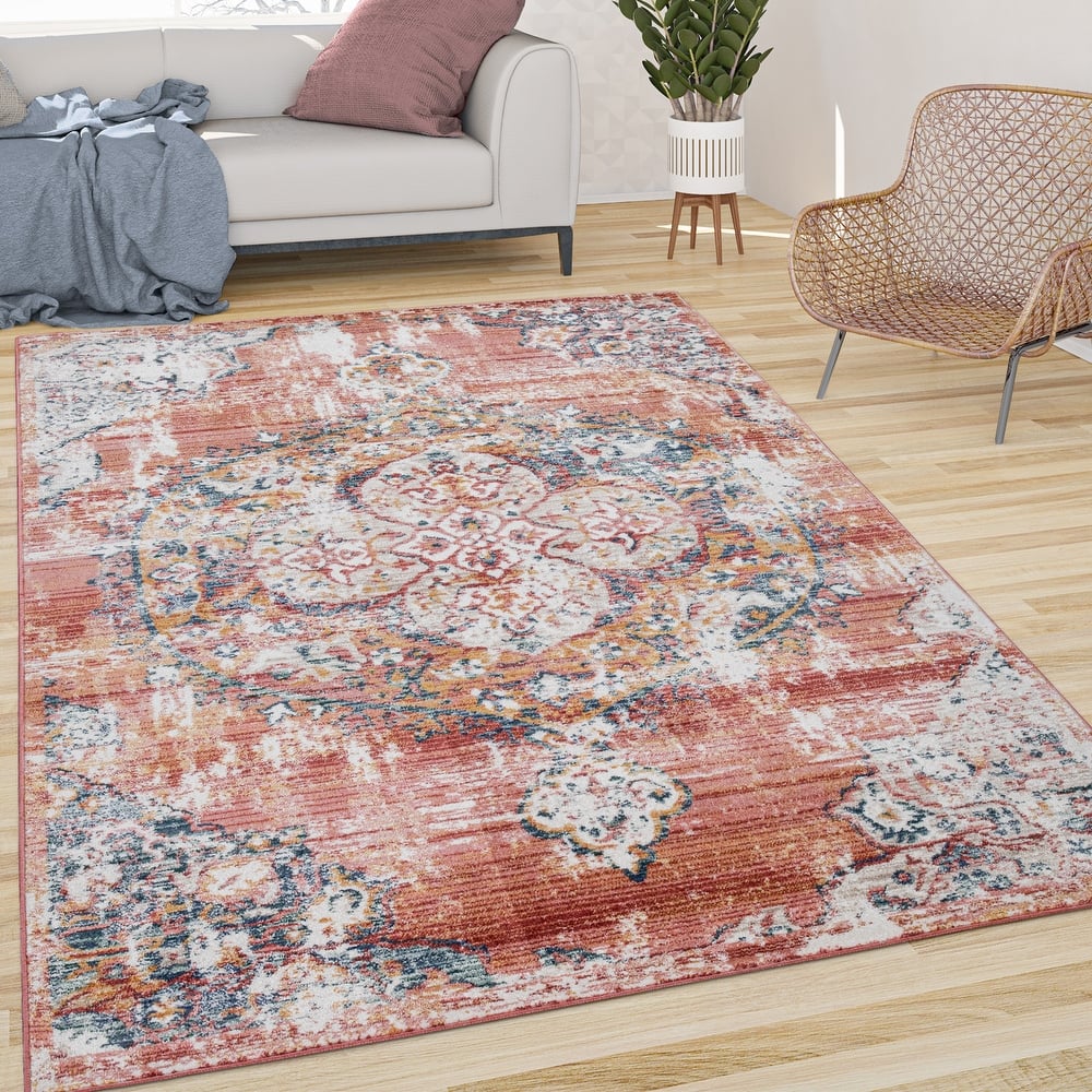 Vintage Rug Oriental Design with Modern Ornaments Multicolor