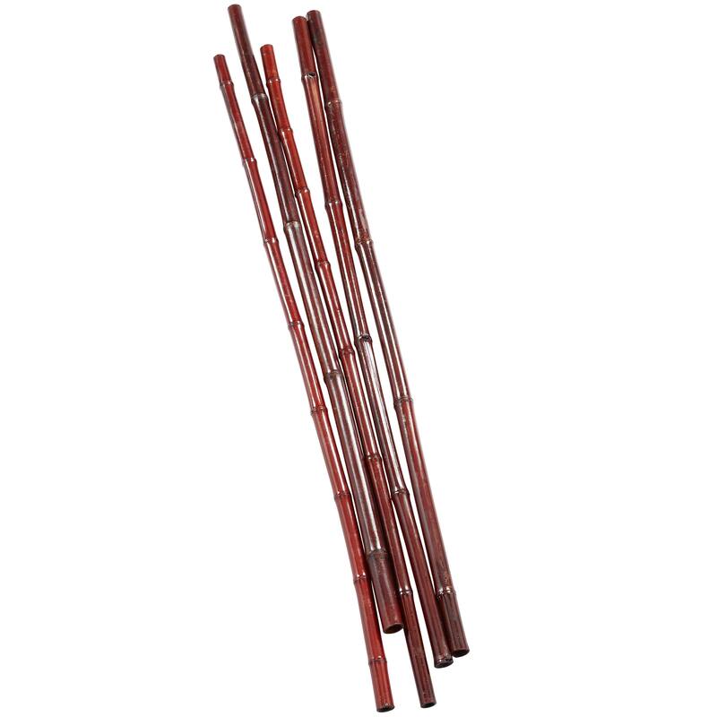 Dried Hogla Babala Bamboo Natural Foliage Collection - Multiple Colors