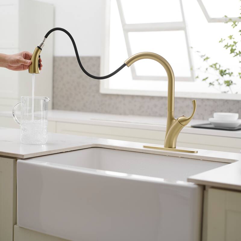 WIZ Single Handle Pull Down Sprayer Kitchen Faucet In Matte Black