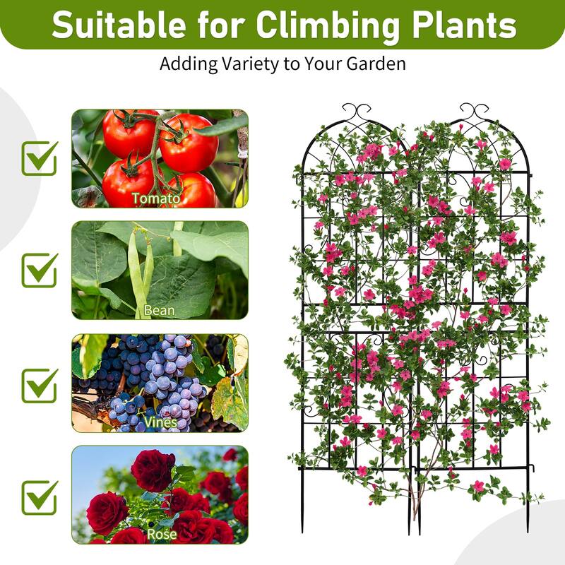 2-Pack Garden Trellis Black Iron 16x61" with Arched Top for Roses Flowers and Vegetable Plants - (16 x 61)" (W x H)