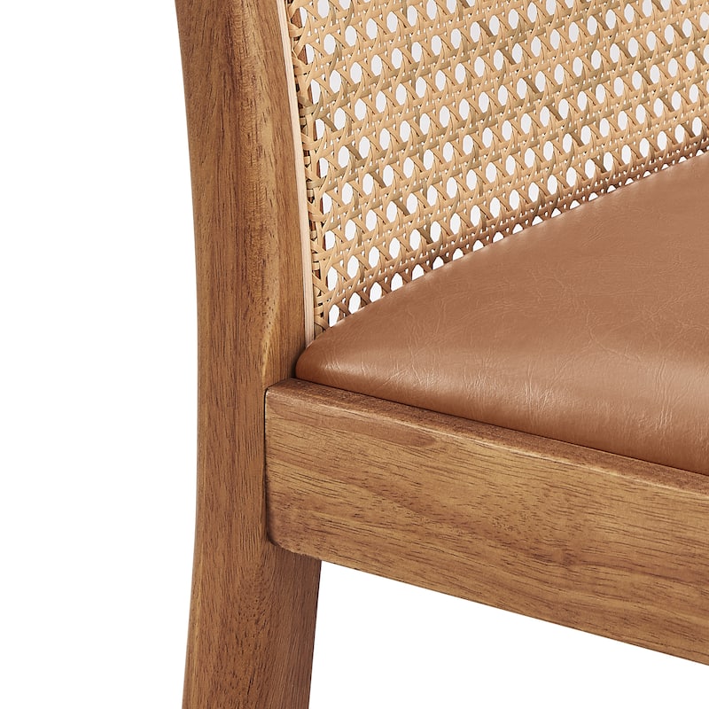 NPD Furniture Donna Faux Leather Rattan Counter Stool (Set of 2)