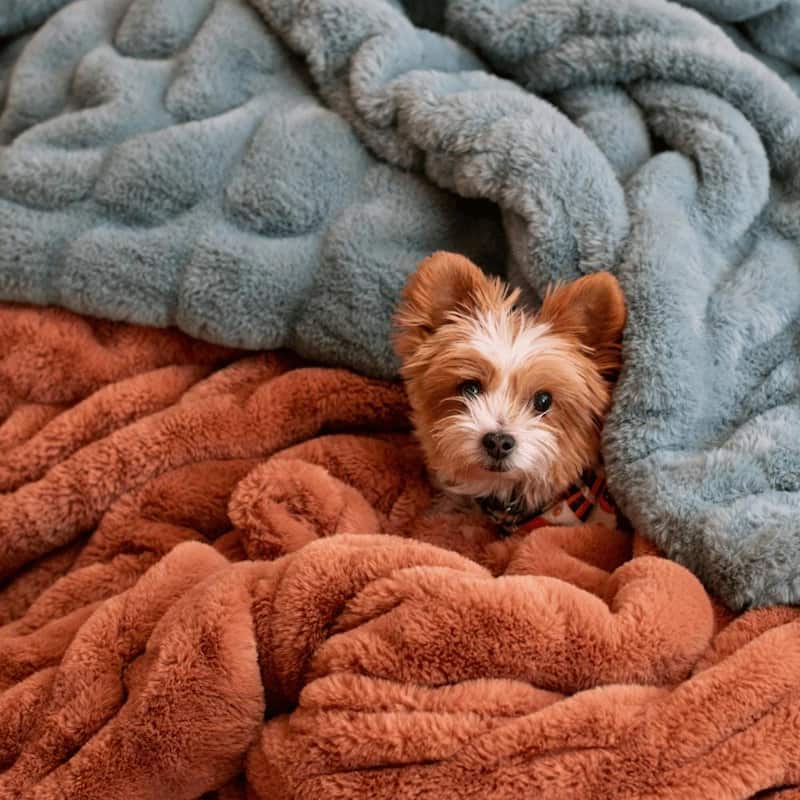 Minky Designs Luxuriously Soft Chic Minky Faux Fur Blankets