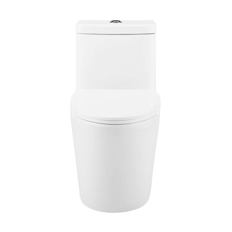 Claire One-Piece Elongated Toilet Dual-Flush 1.1/1.6 gpf