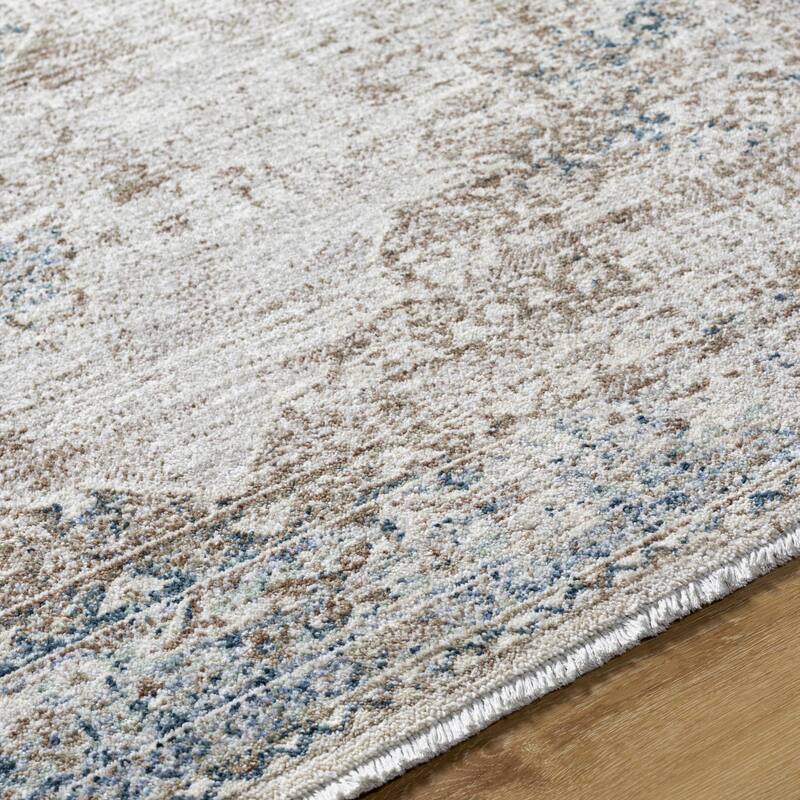 Noyes Traditional Medallion Area Rug