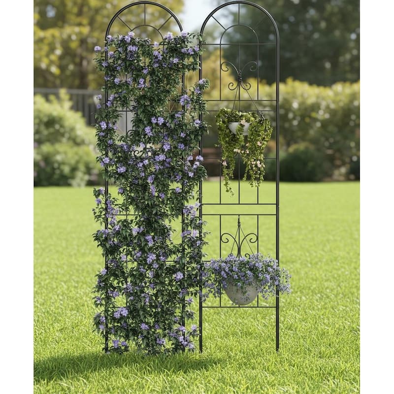 5.5ft Tall Metal Trellis, for Flowers, Vines & Vegetables - 2pcs