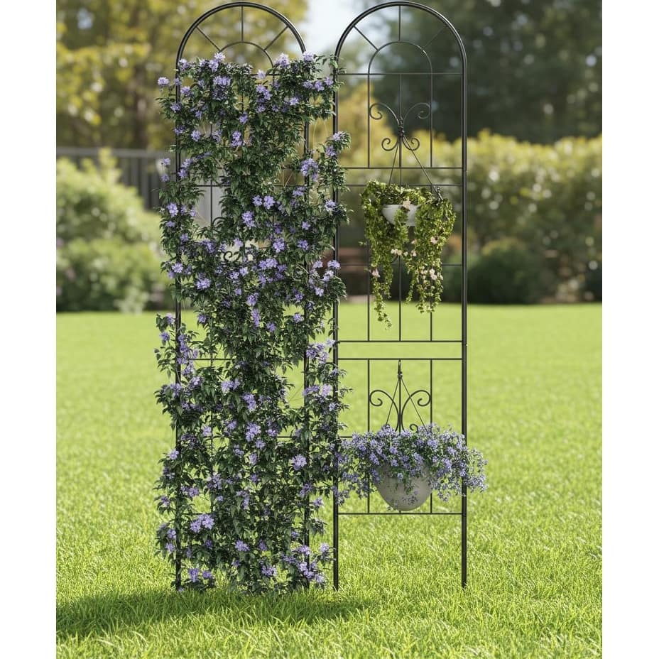 5.5ft Tall Metal Trellis, for Flowers, Vines & Vegetables
