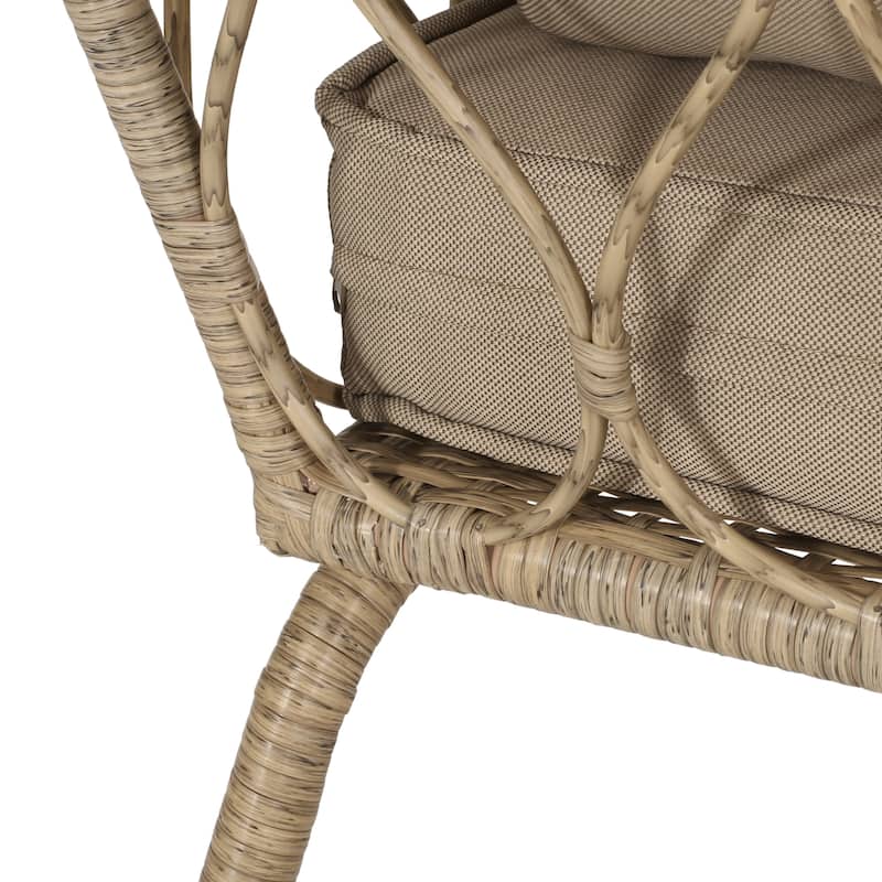 Bruce Outdoor Outdoor Wicker Loveseat with Cushions by Christopher Knight Home