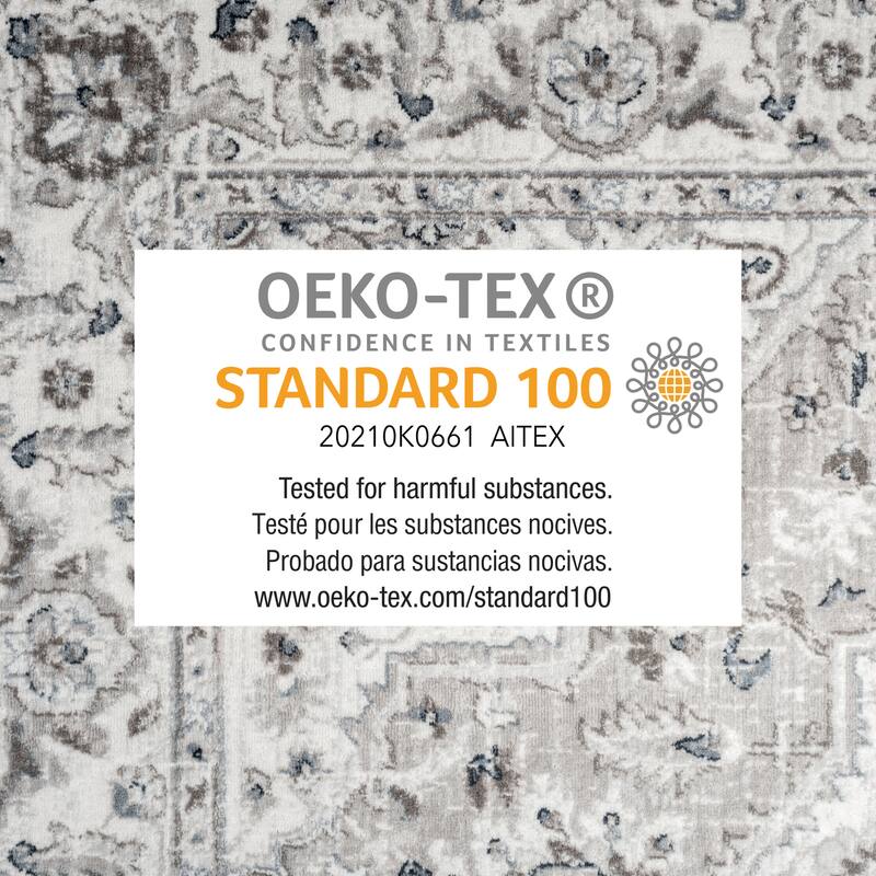 Home Dynamix Belmar Sterling Traditional Area Rug