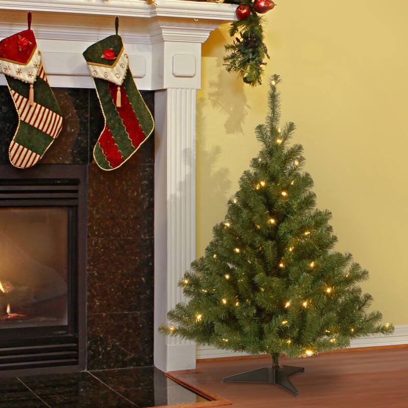 National Tree Company 4 ft. Kincaid Spruce Tree with 100 Clear Lights - 4 Foot