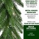 preview thumbnail 5 of 5, Fraser Hill Farm 9-Ft. Green Fir Garland