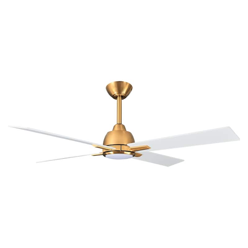 48" 4-Blade Modern White and Gold Ceiling Fan with Light