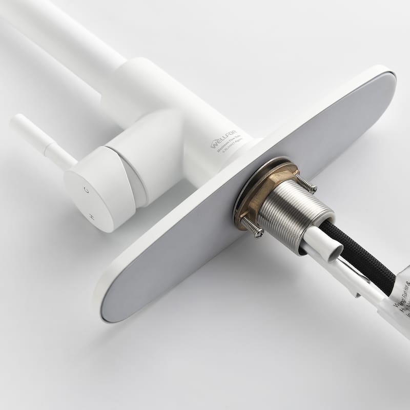 Single Handle Pull-down Sprayer Kitchen Faucet With Deck plate